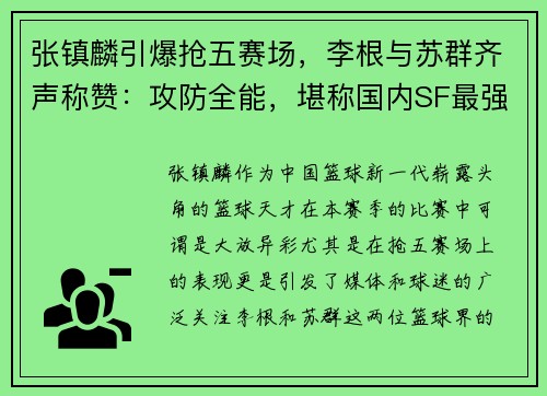 张镇麟引爆抢五赛场，李根与苏群齐声称赞：攻防全能，堪称国内SF最强