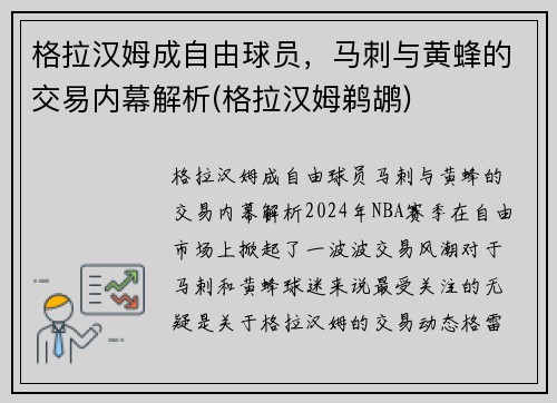 格拉汉姆成自由球员，马刺与黄蜂的交易内幕解析(格拉汉姆鹈鹕)