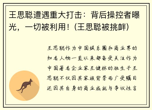 王思聪遭遇重大打击：背后操控者曝光，一切被利用！(王思聪被挑衅)