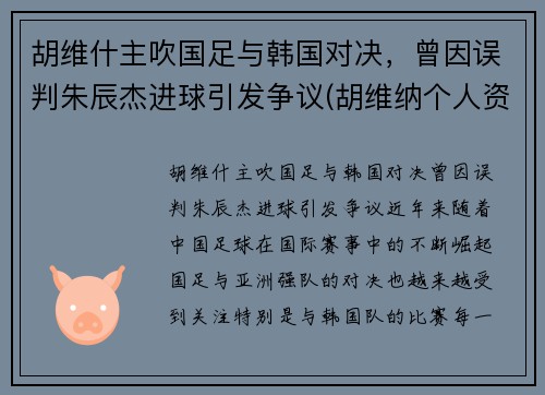 胡维什主吹国足与韩国对决，曾因误判朱辰杰进球引发争议(胡维纳个人资料)
