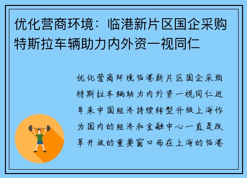 优化营商环境：临港新片区国企采购特斯拉车辆助力内外资一视同仁