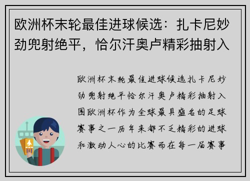欧洲杯末轮最佳进球候选：扎卡尼妙劲兜射绝平，恰尔汗奥卢精彩抽射入围