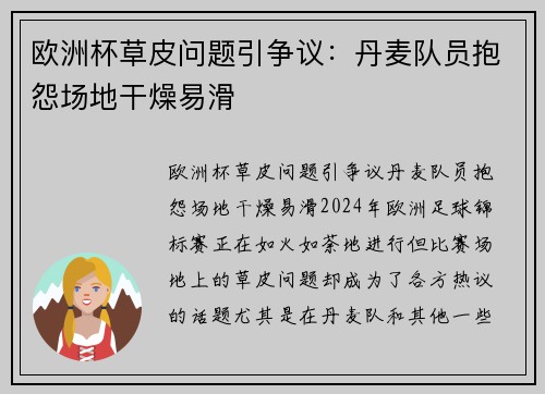 欧洲杯草皮问题引争议：丹麦队员抱怨场地干燥易滑